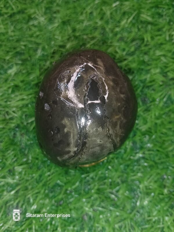 Laxmi Varaha Shaligram Shila - Image 11