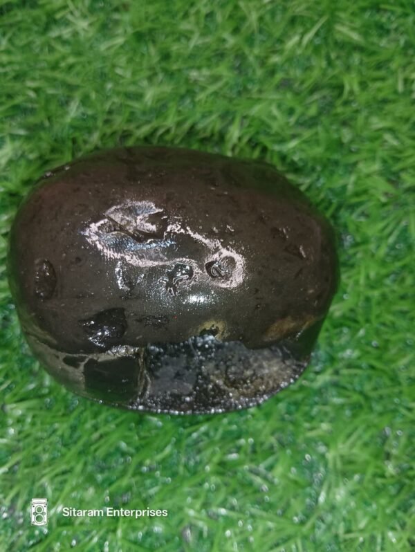 Laxmi Varaha Shaligram Shila - Image 8
