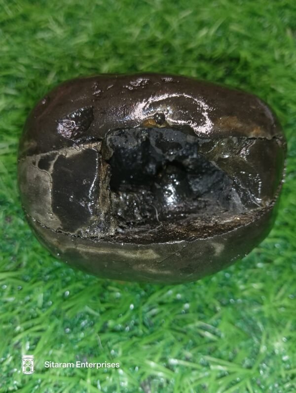 Laxmi Varaha Shaligram Shila - Image 10