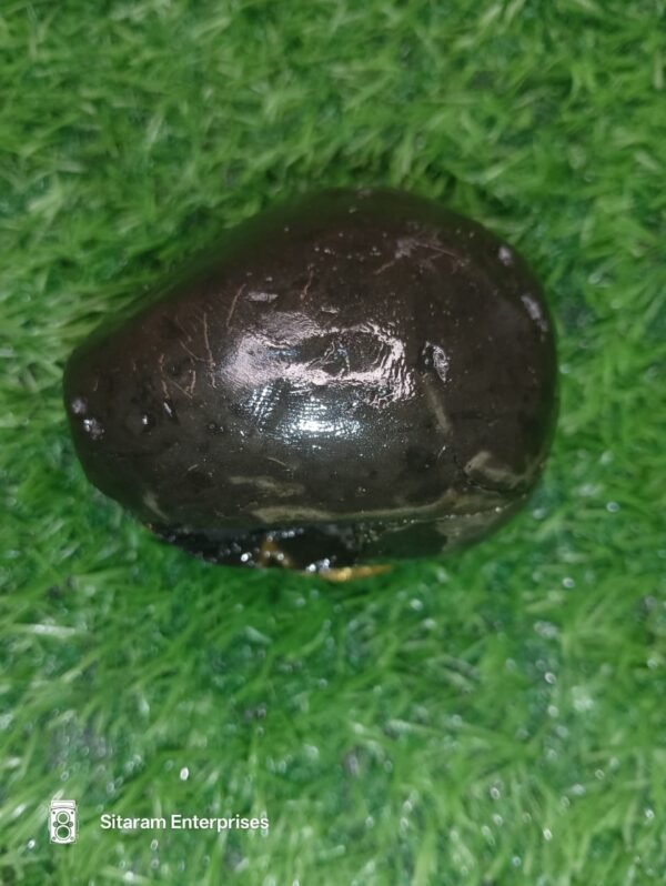 Laxmi Varaha Shaligram Shila - Image 9