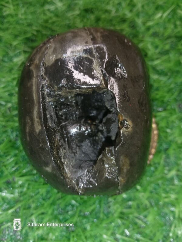 Laxmi Varaha Shaligram Shila - Image 6