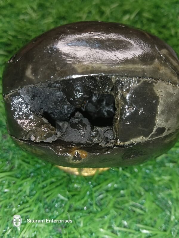 Laxmi Varaha Shaligram Shila - Image 7