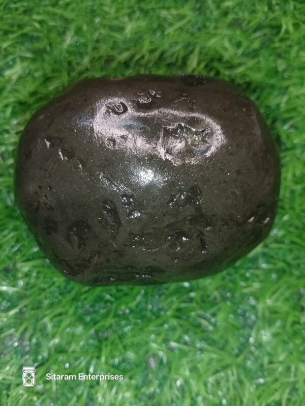 Laxmi Varaha Shaligram Shila - Image 4