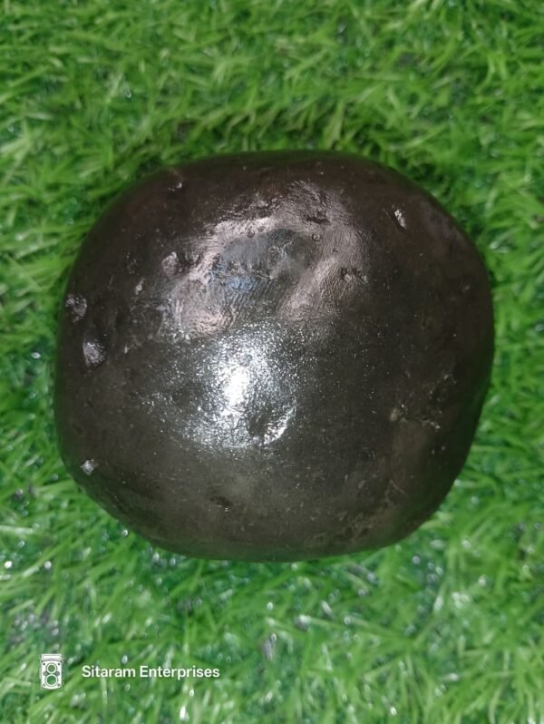 Laxmi Varaha Shaligram Shila - Image 3