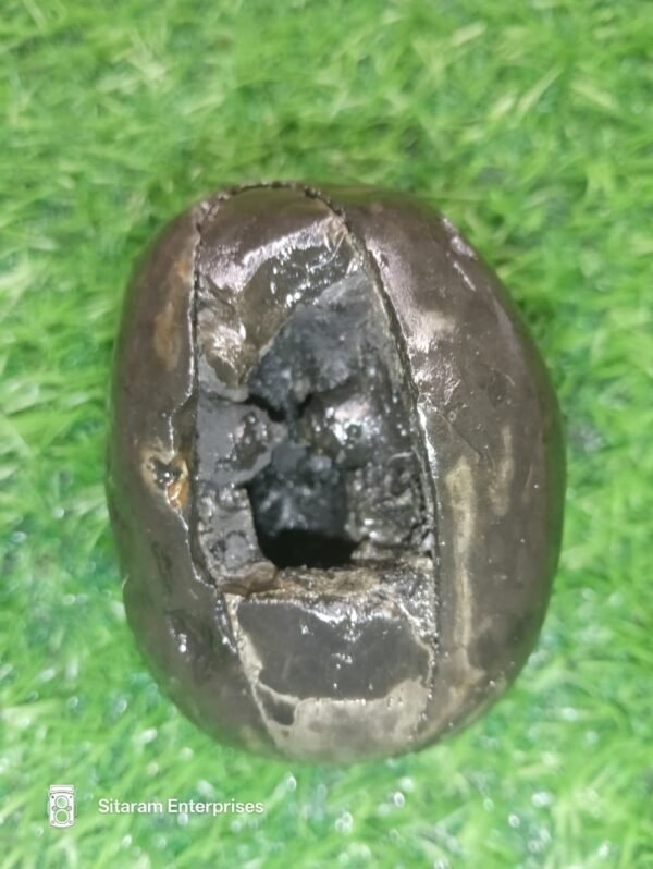 Laxmi Varaha Shaligram Shila - Image 5
