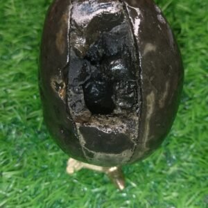 Laxmi Varaha Shaligram Shila