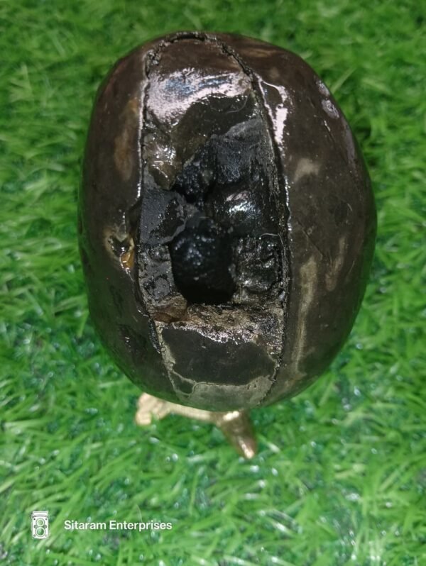 Laxmi Varaha Shaligram Shila