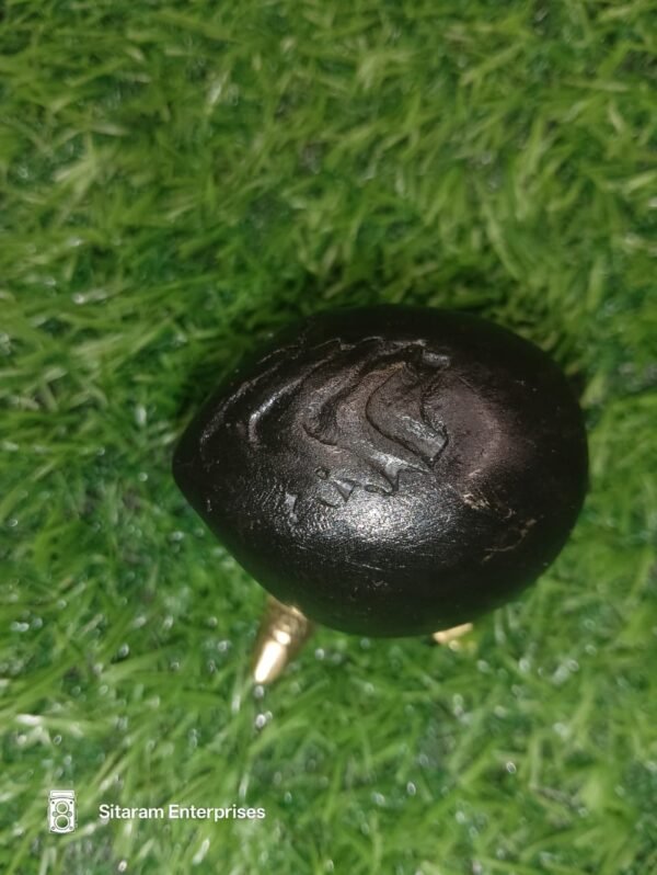 Mahakali Shaligram - Image 2