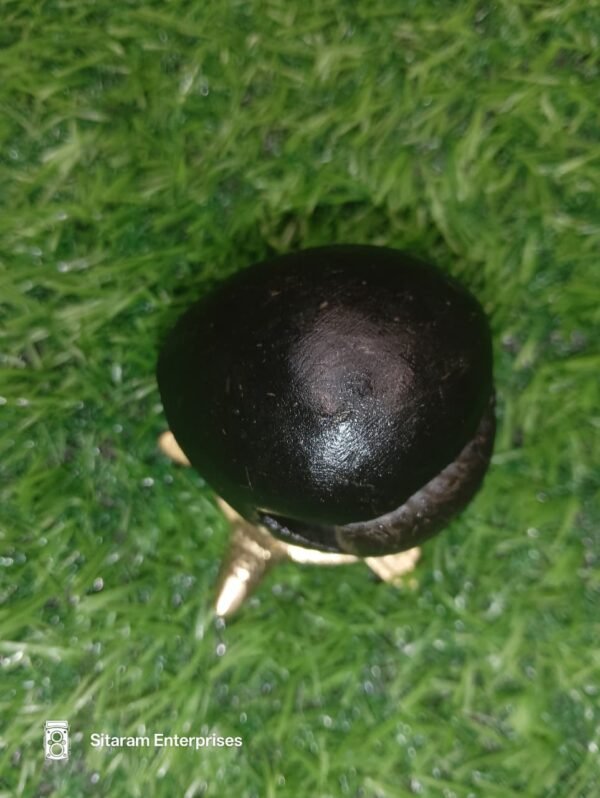 Mahakali Shaligram - Image 9