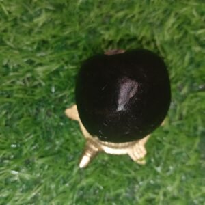 Mahakali Shaligram
