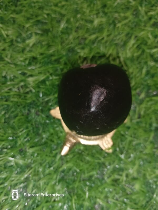 Mahakali Shaligram