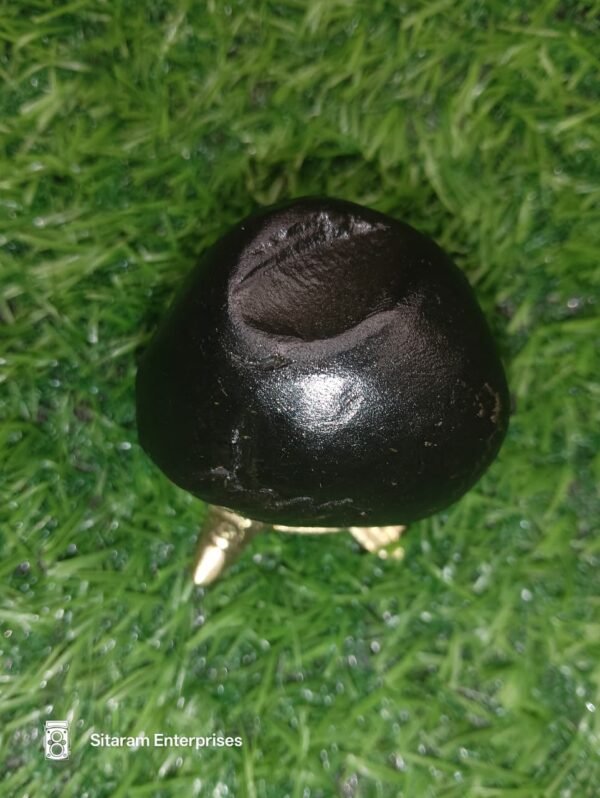 Mahakali Shaligram - Image 3
