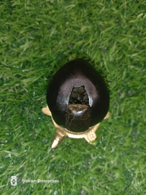 Mahakali Shaligram - Image 6