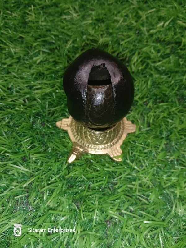 Mahakali Shaligram - Image 8