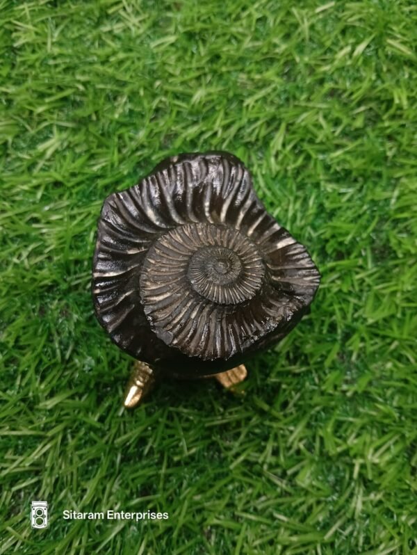 Trivikram Shaligram Shila - Image 6