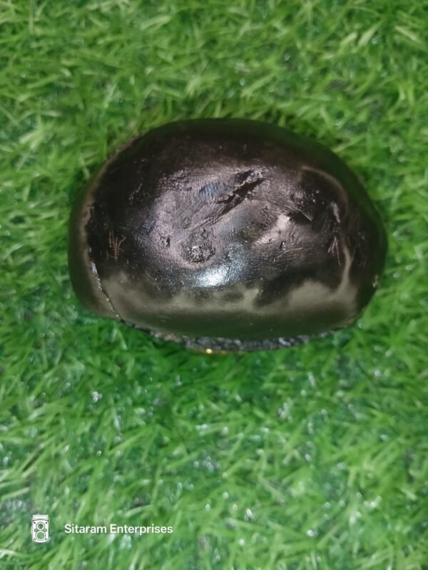 Narasimha Shaligram Shila - Image 2