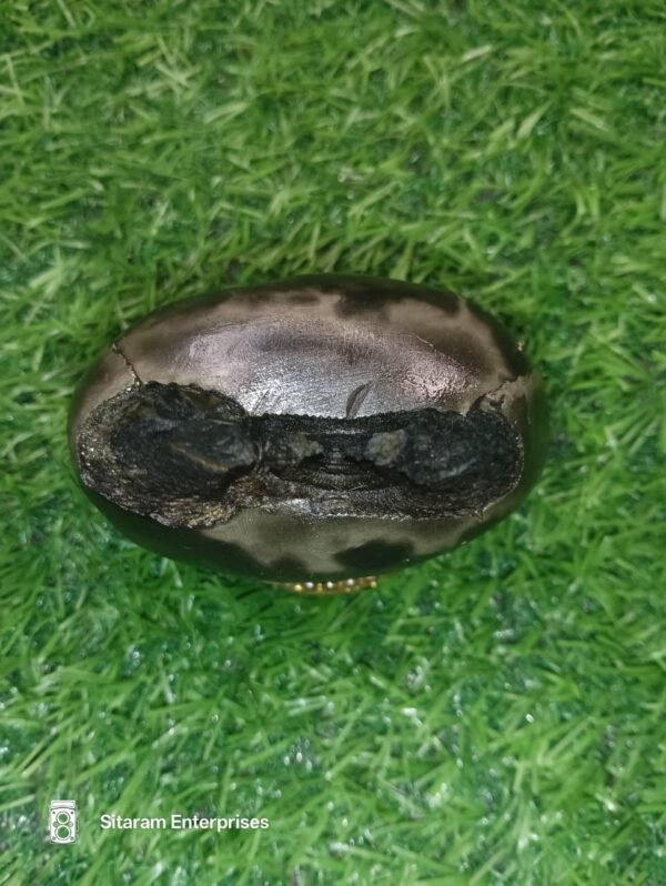 Narasimha Shaligram Shila - Image 7