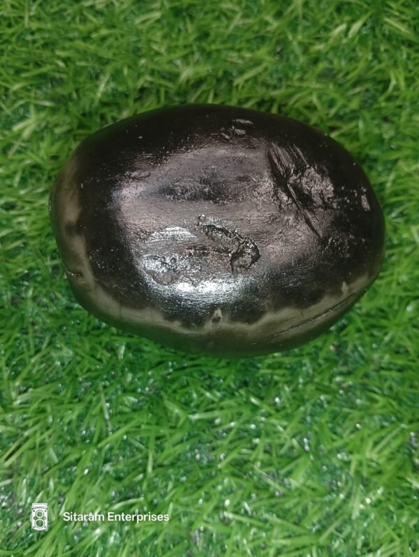Narasimha Shaligram Shila - Image 4