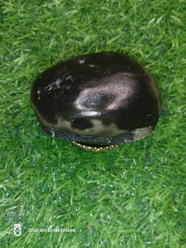Narasimha Shaligram Shila - Image 5