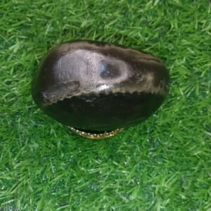 Narasimha Shaligram Shila