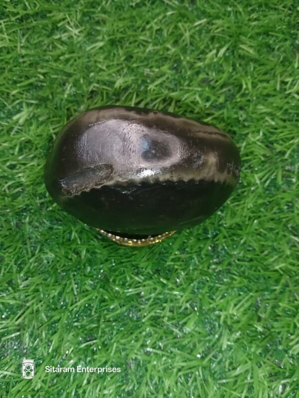 Narasimha Shaligram Shila