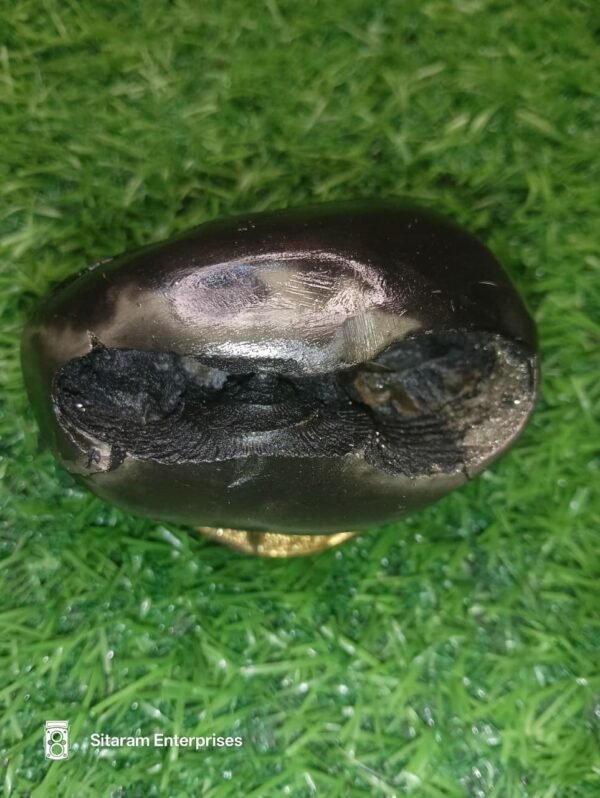 Narasimha Shaligram Shila - Image 6