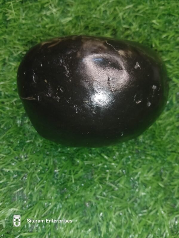 Laxmi Narayan Shaligram - Image 3