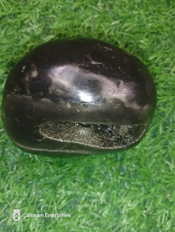 Laxmi Narayan Shaligram - Image 4