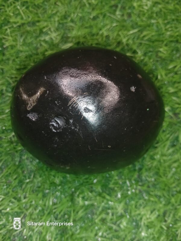 Laxmi Narayan Shaligram - Image 2