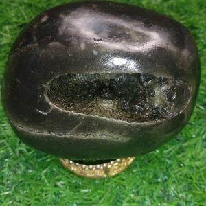 Laxmi Narayan Shaligram