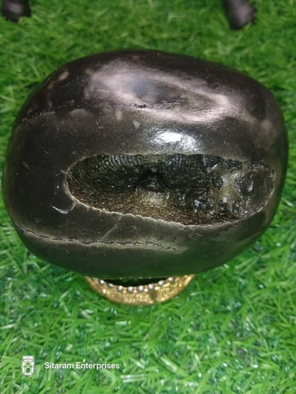 Laxmi Narayan Shaligram