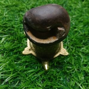 Narasimha Shaligram