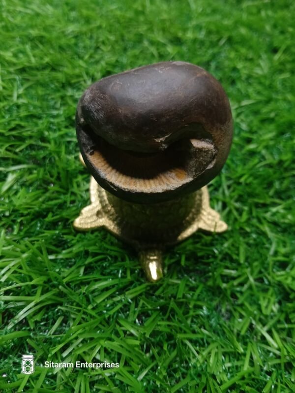 Narasimha Shaligram