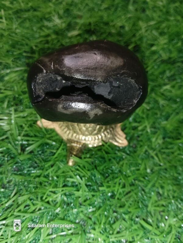 Narasimha Shaligram - Image 7
