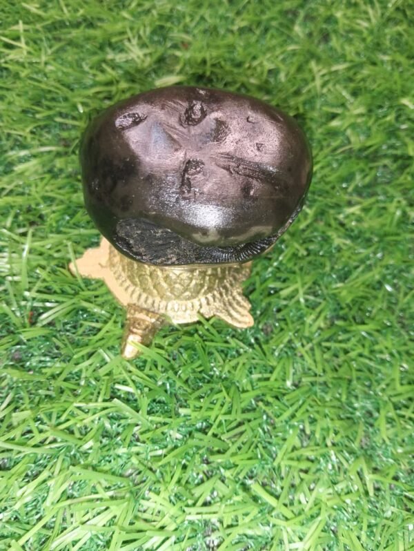 Narasimha Shaligram - Image 11