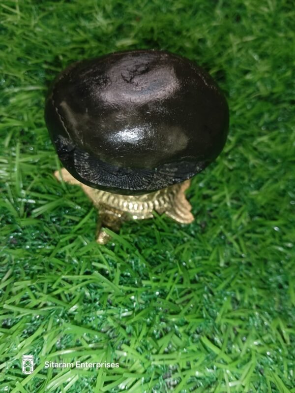 Narasimha Shaligram - Image 9