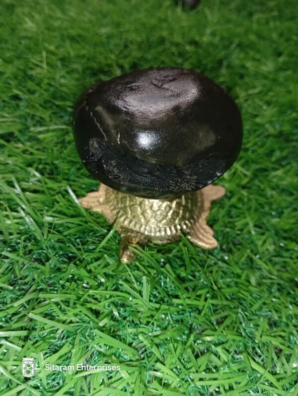 Narasimha Shaligram - Image 3
