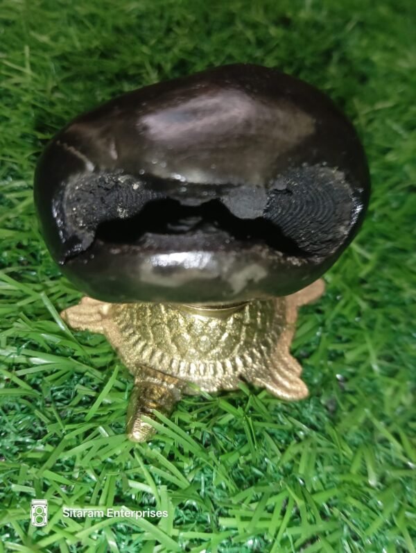 Narasimha Shaligram - Image 6