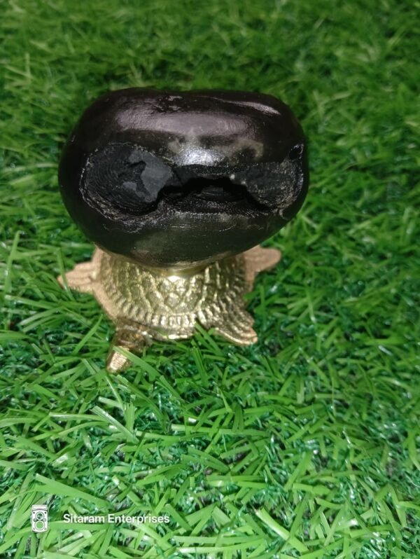 Narasimha Shaligram - Image 2