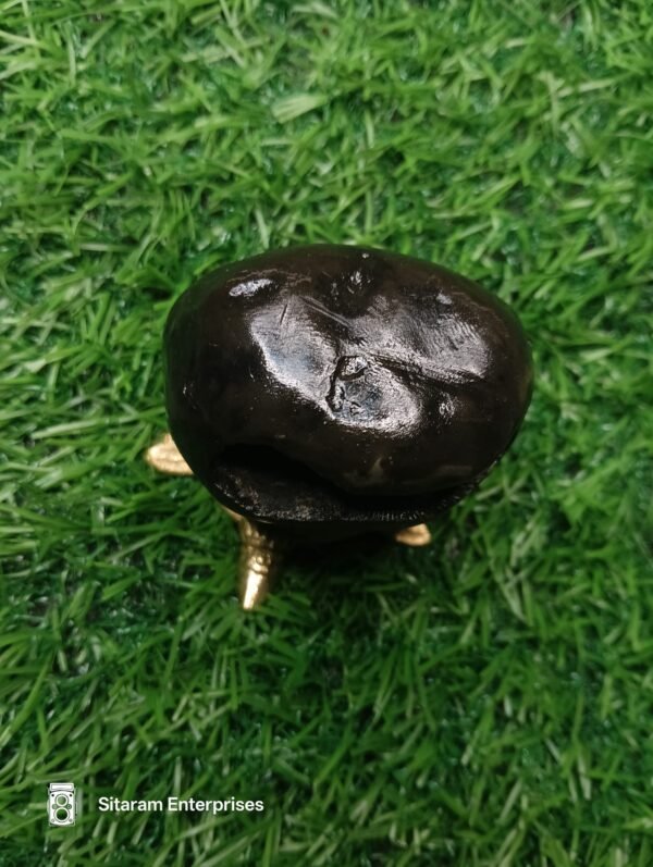 Narasimha Shaligram - Image 10