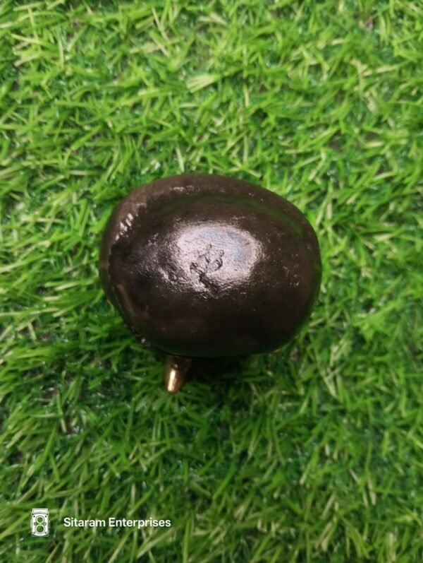 Narasimha Shaligram - Image 12