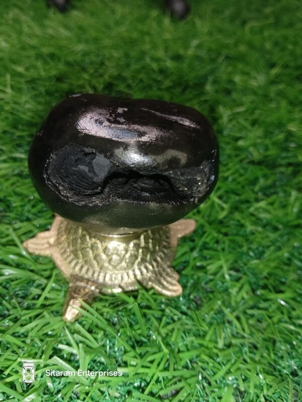 Narasimha Shaligram - Image 8