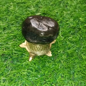 Narasimha Shaligram
