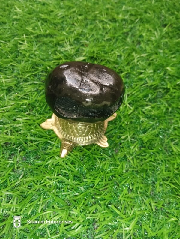 Narasimha Shaligram