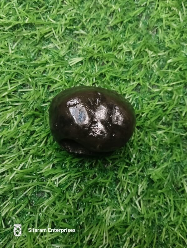 Narasimha Shaligram - Image 4
