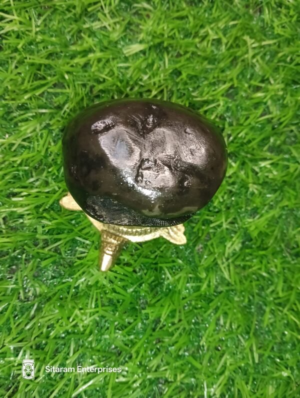 Narasimha Shaligram - Image 13