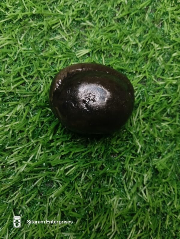 Narasimha Shaligram - Image 5