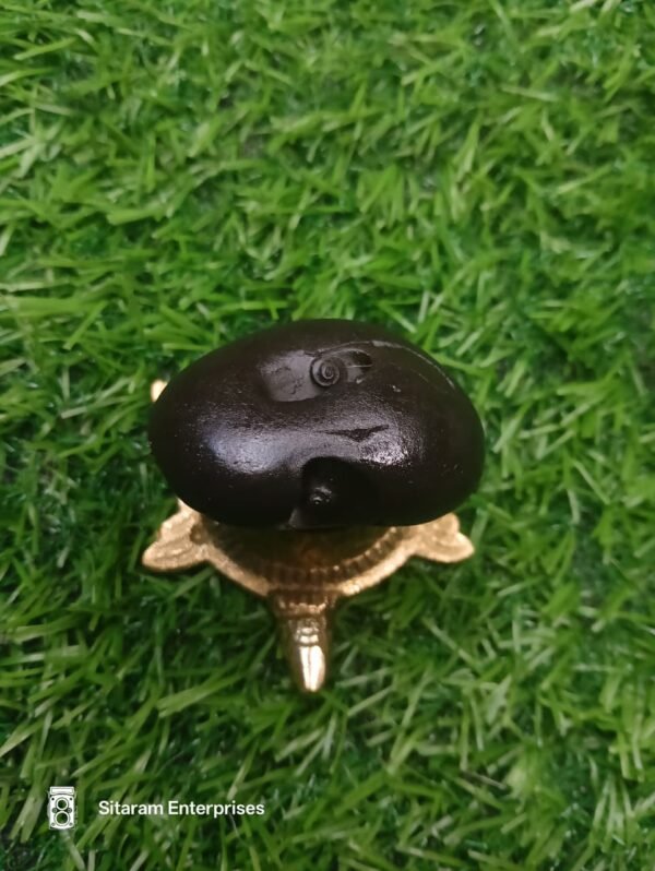 Trivikram Shaligram - Image 6