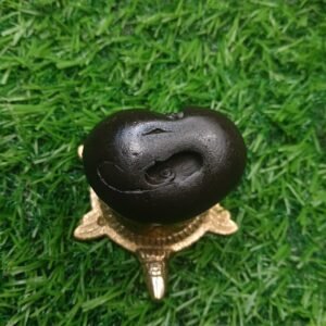 Trivikram Shaligram