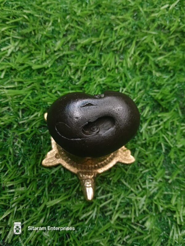 Trivikram Shaligram